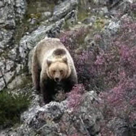 Zentralclub La Osera Visionando La Naturaleza Διαμέρισμα